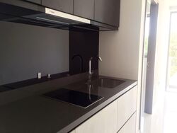 The Rise @ Oxley (D9), Condominium #562081501